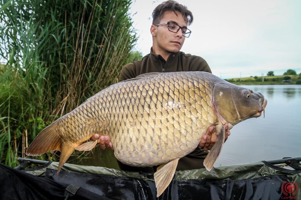 Ce peste! A picat din nou recordul de la Moara Vlasiei 2. Vezi cat a cantarit crapul care 